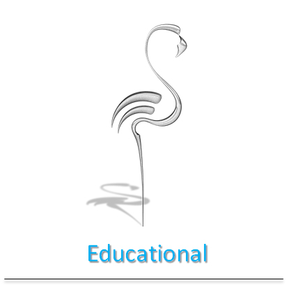 flamingo-educational-verona-mr-services